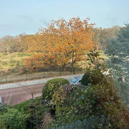 住宿加早餐酒店 Ereprijs