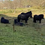 Bed & Breakfast Ereprijs 4*