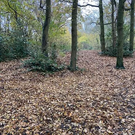 Ereprijs Oda ve Kahvaltı Lahey