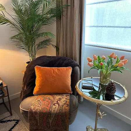 Bed & Breakfast Ereprijs The Hague