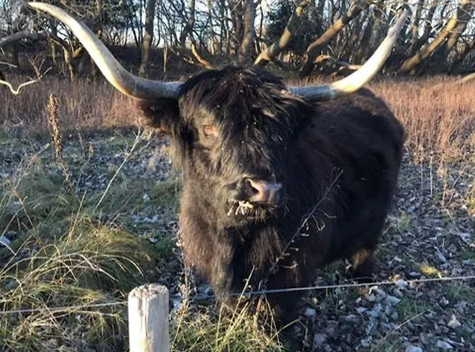 Bed & Breakfast Ereprijs 4*