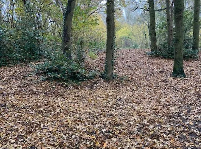 Ereprijs 住宿加早餐酒店 海牙